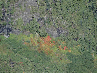 Fall colors below Dickerman summit. 39