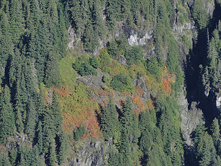 Fall colors below Dickerman summit.