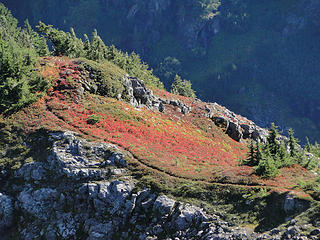 Fall colors below Twin Peaks from Dickerman. 41