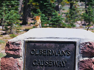 Oberman's Causeway lookout