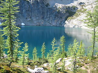 larches and lake