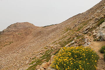 Trail in the choss