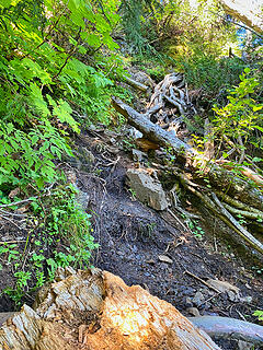 Upper Lena trail