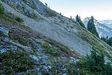 following deer tracks across overlook SW slope