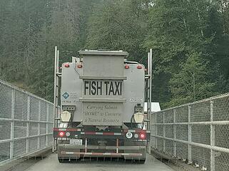 Follow that taxi!