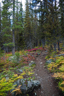 Fall Colors along Ingalls Lake Trail