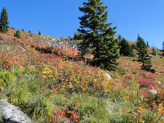 Fall on Granite mountain.