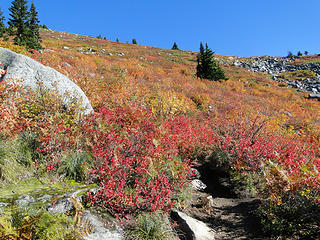 Fall on Granite mountain.