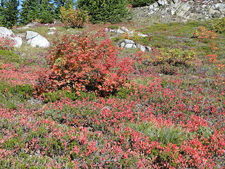 Fall in Granite mountain basin.