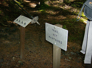 TH for the Tahoma Creek unmaintained trail