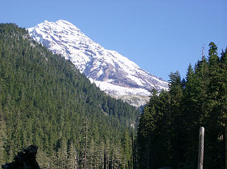 Rainier as seen from the Tahoma Crk. valley