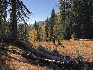 Connecting with the trail to Indianhead Pass
