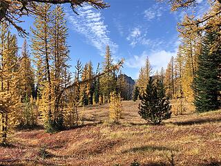 Entering perhaps the most spectacular Larch basin below the west ridge above Bernice Lake