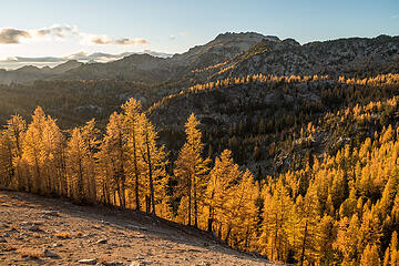 late afternoon sun lighting up larches on all ridges