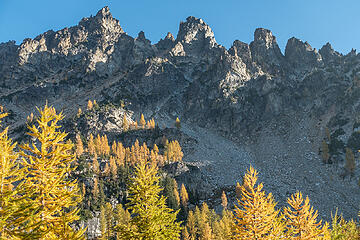high larches on emerald