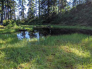 We diverted briefly to the small pond at 4100' to refill our water bottles for the trip down.