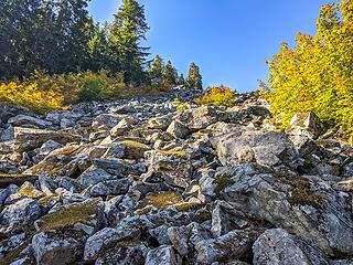Looking up the talus field from it's lower end at 3000'