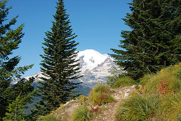 This is the first view that you get of Mt. Rainier.  It comes at about the 2 mile mark, just as you are making your way through the first set of switchbacks.