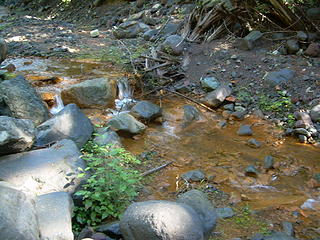 Copper stream by the road