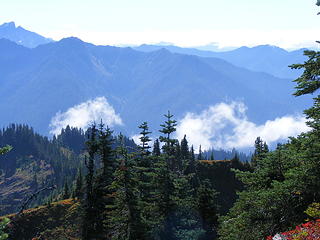 Views from Bogachiel Peak