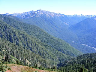 Hoh Valley and river