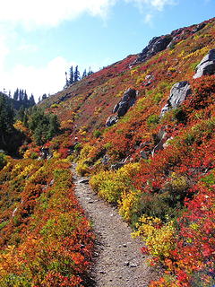 color on the High Divide trail