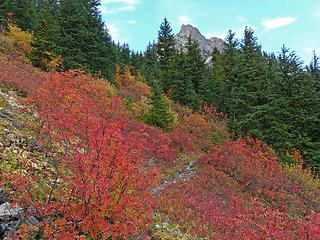 Fall color near Easy Pass