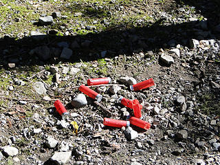 Shotgun shells behind my car (not recently fired). I would at least pick them up to discard.