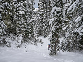 Off trail direct route to Bear Gap . . . snowshoes on for the first time this season
