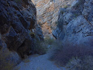 Picture Canyon narrows. Desert National Wildlife Ref.