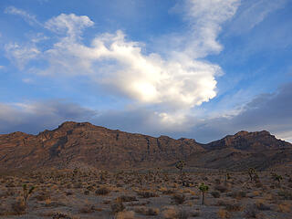 evening in the Mojave Desert