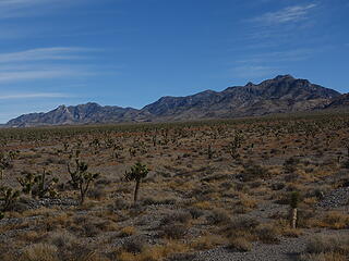 Sheep Range; Desert National Wildlife Refuge