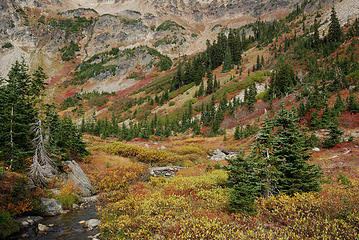 Ewing Basin was my favorite part of the hike to Larch Lake