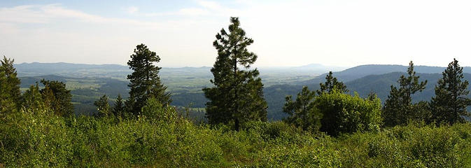 Summit view from Mineral Mountain in Northern Idaho.