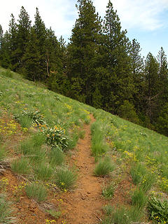 Trail along Puffer Butte in the Blue Mountains of Southeastern Washington.