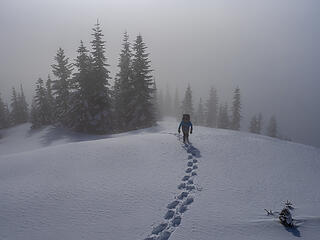 This is really enjoyable snowshoeing . . .
