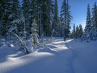 This is really fun snowshoeing . . .