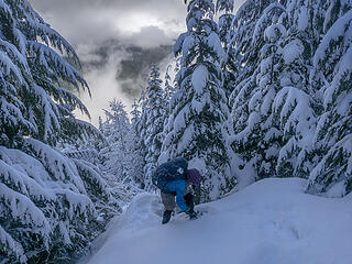 Somewhere on the uphill we crossed into fresh snow and changed to snowshoes . . .