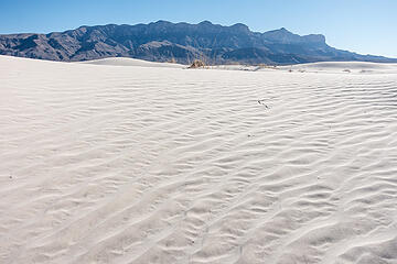 Salt basin dunes 1.31.21