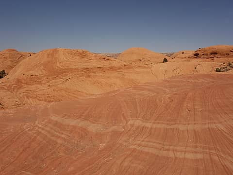 Amasa Back's petrified dune navajo sandstone
