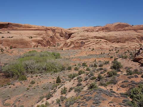 Fork of Mill Canyon