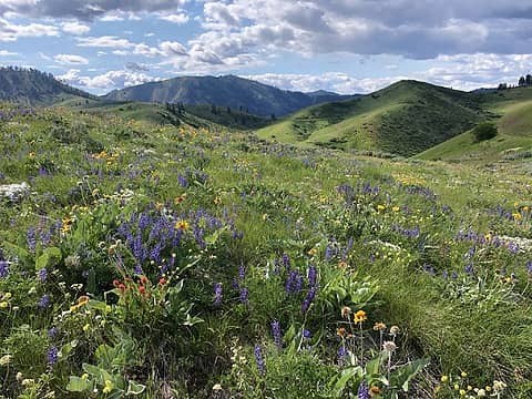 Cashmere Canyons Preserve 5/21/21