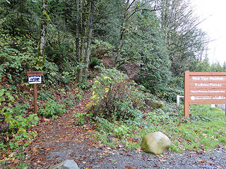 Trail starts from paved road by gate up to Tradition Lake parking area on Tiger Mountain.
