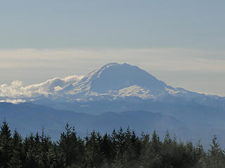 Rainier from near Hikers Hut on West Tiger 1.