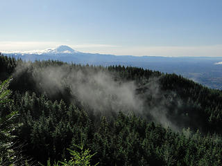 Views from West Tiger 1 Hikers Hut bench.