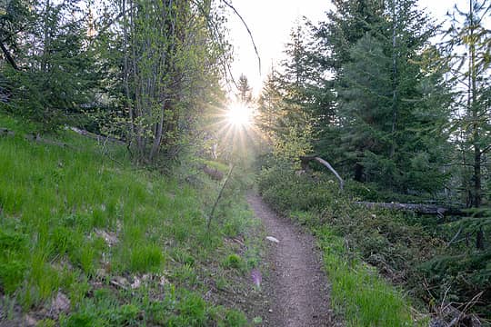 Sun and trail