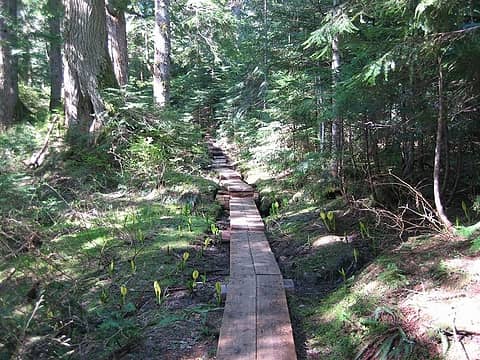 the trail to Upper Ashland Lake