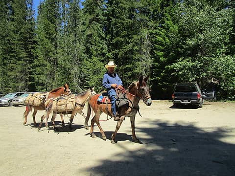 Awesome support from awesome Backcountry Horsemen