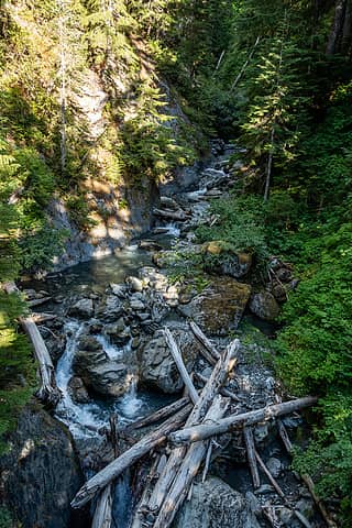 side canyon of the nf quinault