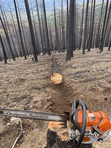 Burnt Forest on Thompson Ridge (KarlK Photo)